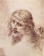 LEONARDO da Vinci Head and shoulders Christs Sweden oil painting artist